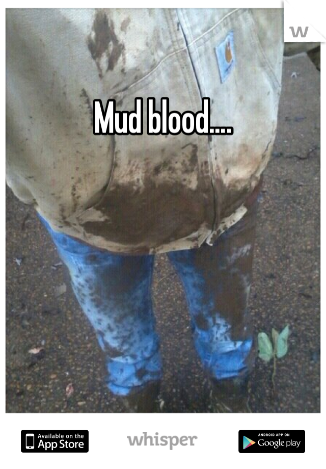 Mud blood....