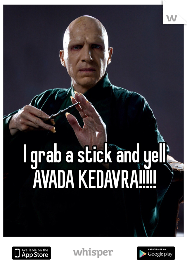 I grab a stick and yell AVADA KEDAVRA!!!!!