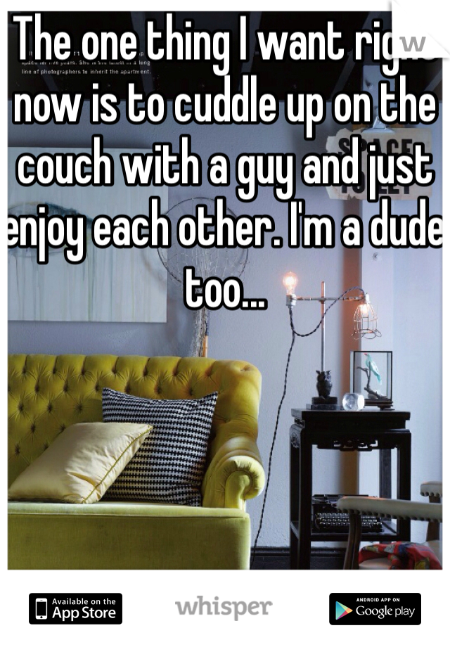 The one thing I want right now is to cuddle up on the couch with a guy and just enjoy each other. I'm a dude too...