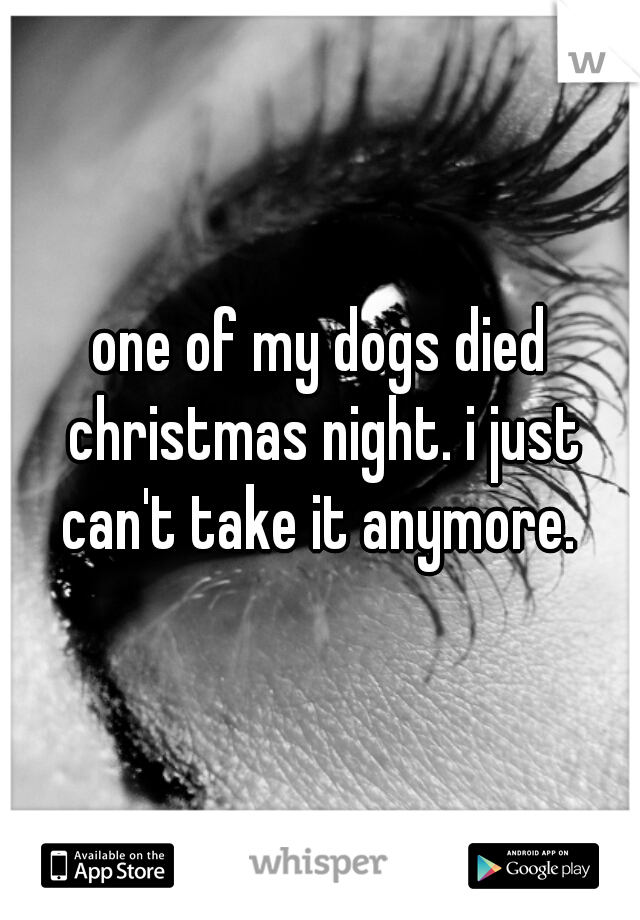 one of my dogs died christmas night. i just can't take it anymore. 