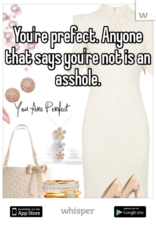 You're prefect. Anyone that says you're not is an asshole. 