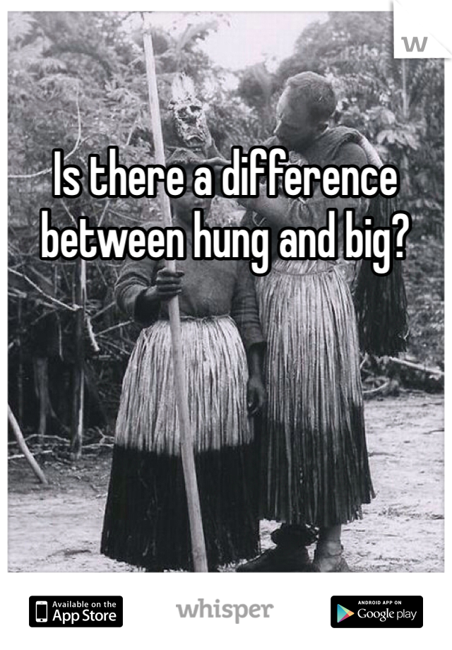 Is there a difference between hung and big?  