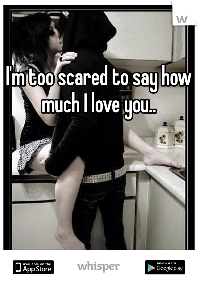 I'm too scared to say how much I love you..