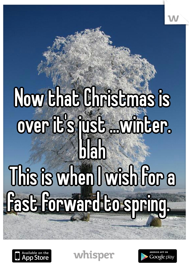 Now that Christmas is over it's just ...winter. blah 
This is when I wish for a fast forward to spring.   