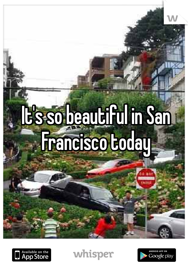 It's so beautiful in San Francisco today