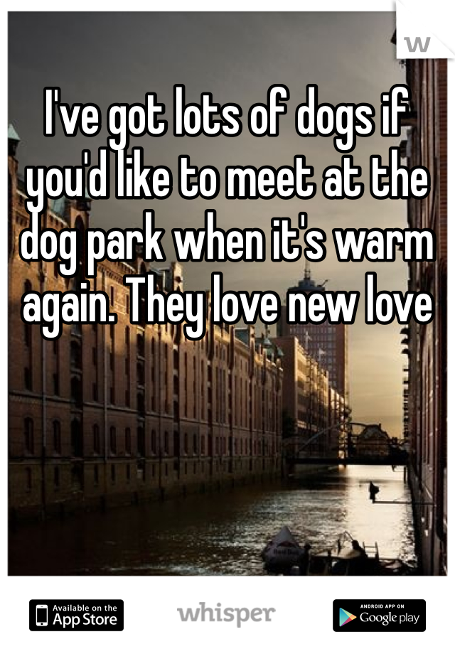 I've got lots of dogs if you'd like to meet at the dog park when it's warm again. They love new love