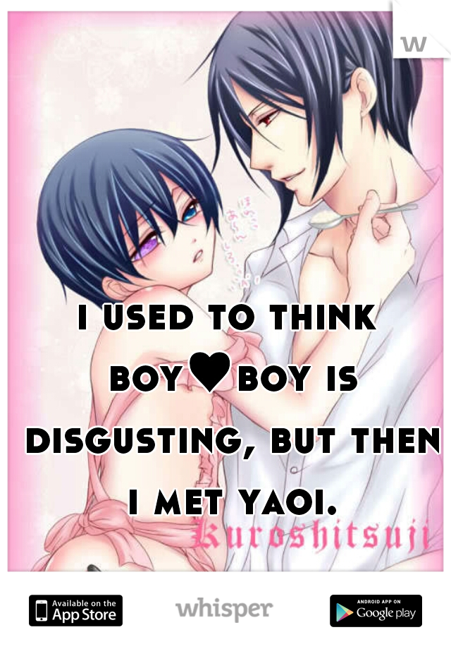 i used to think boy♥boy is disgusting, but then i met yaoi.