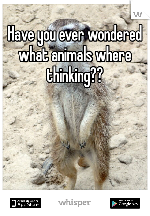 Have you ever wondered what animals where thinking??