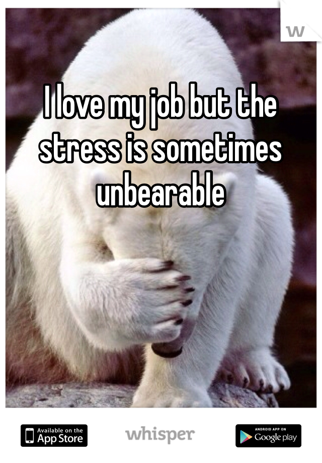 I love my job but the stress is sometimes unbearable 