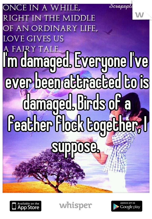 I'm damaged. Everyone I've ever been attracted to is damaged. Birds of a feather flock together, I suppose. 