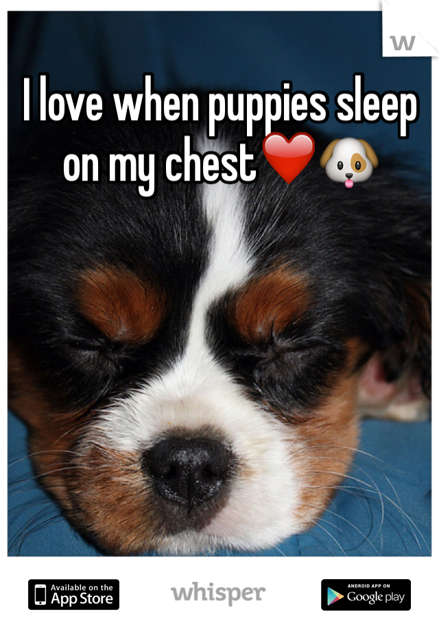 I love when puppies sleep on my chest❤️🐶