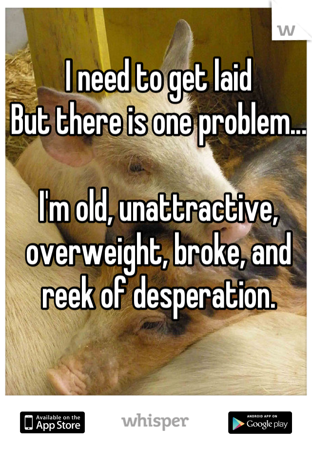 I need to get laid
But there is one problem...

I'm old, unattractive, overweight, broke, and reek of desperation.

