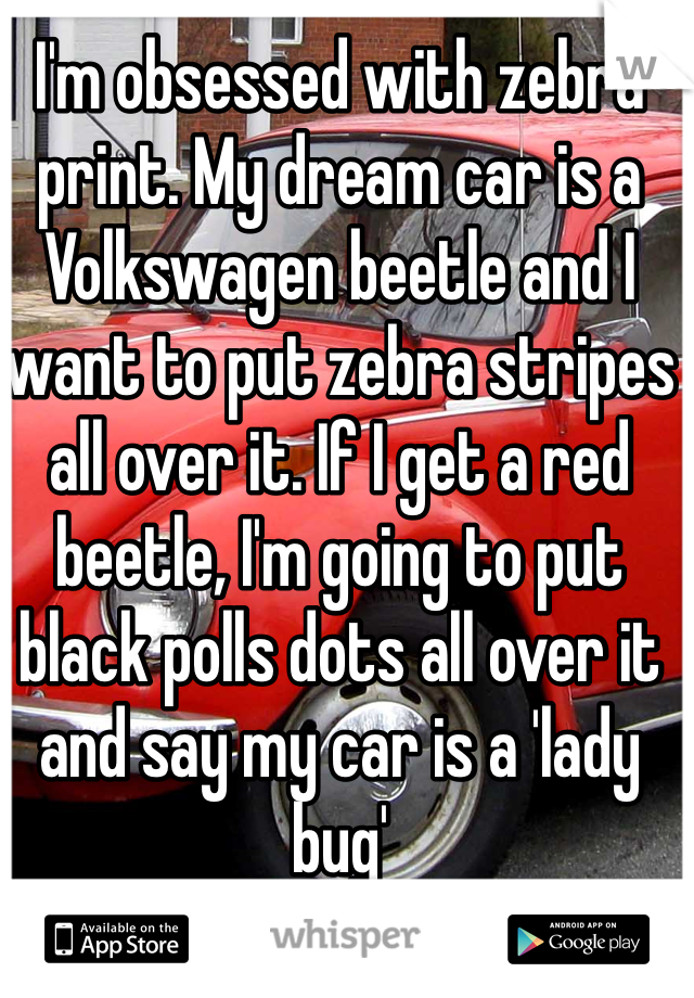 I'm obsessed with zebra print. My dream car is a Volkswagen beetle and I want to put zebra stripes all over it. If I get a red beetle, I'm going to put black polls dots all over it and say my car is a 'lady bug'