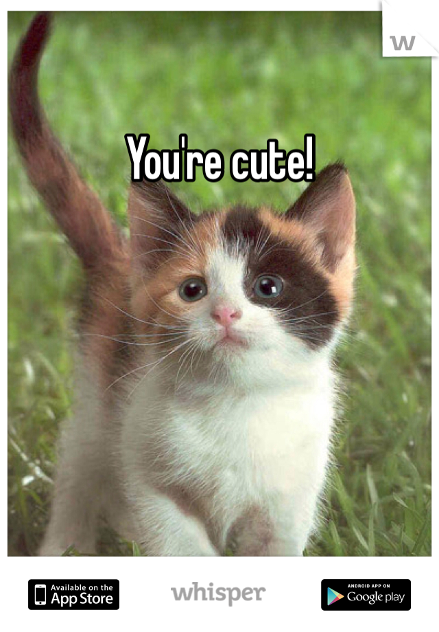 You're cute! 