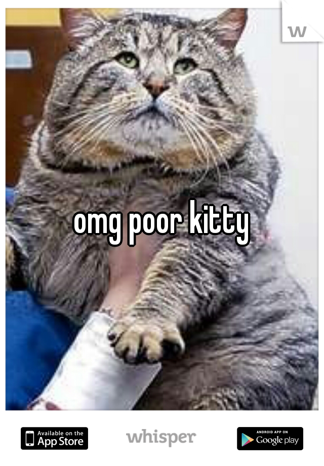 omg poor kitty