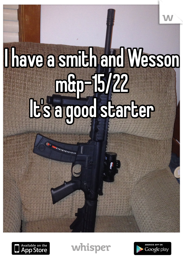 I have a smith and Wesson m&p-15/22
It's a good starter
