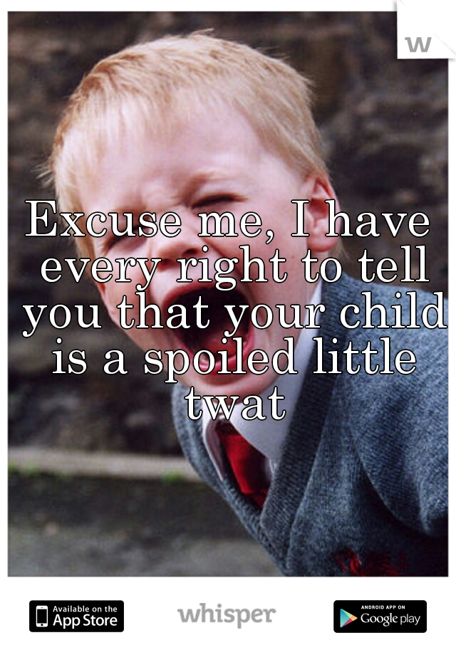 Excuse me, I have every right to tell you that your child is a spoiled little twat