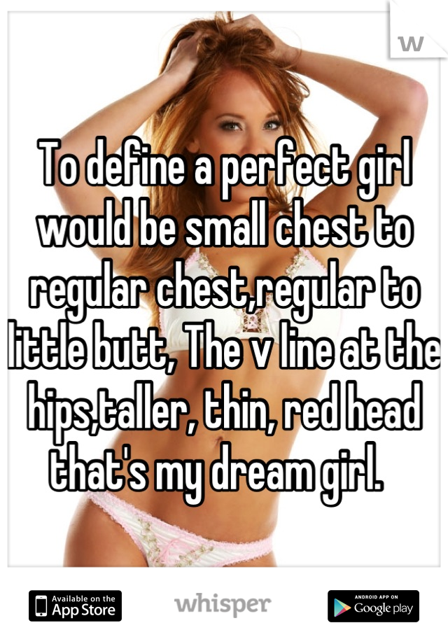 To define a perfect girl would be small chest to regular chest,regular to little butt, The v line at the hips,taller, thin, red head that's my dream girl.  