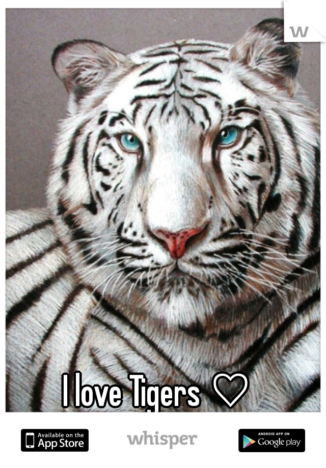 I love Tigers ♡