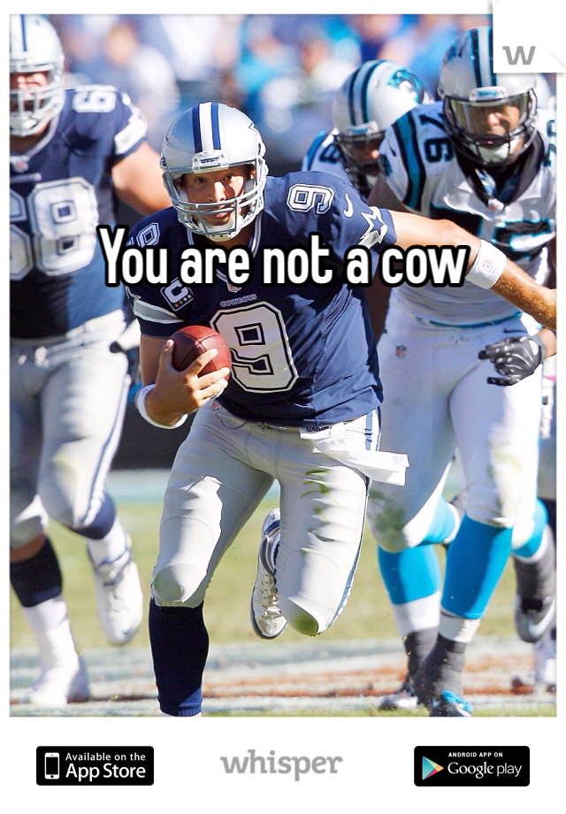 You are not a cow