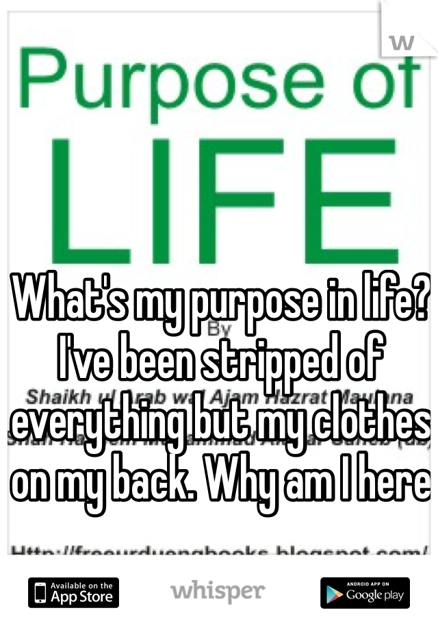 What's my purpose in life? I've been stripped of everything but my clothes on my back. Why am I here 