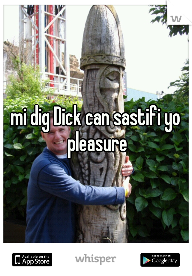 mi dig Dick can sastifi yo pleasure