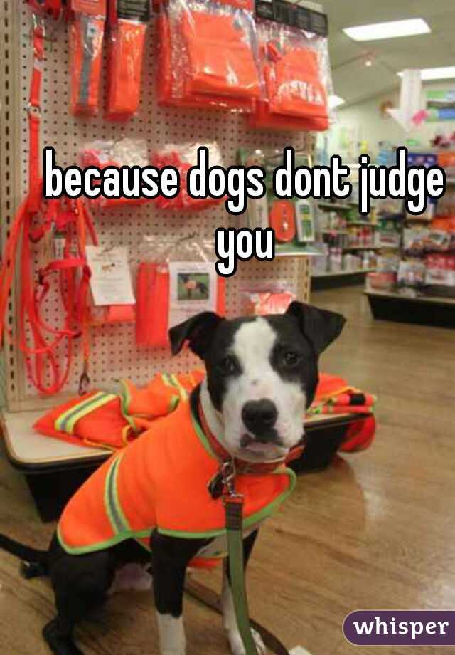  because dogs dont judge you