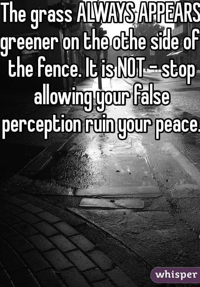 The grass ALWAYS APPEARS greener on the othe side of the fence. It is NOT - stop allowing your false perception ruin your peace. 
