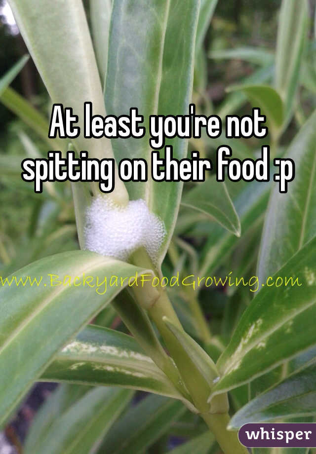 At least you're not spitting on their food :p

