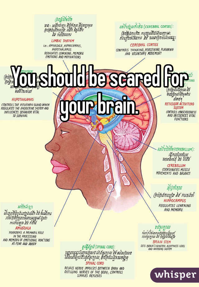You should be scared for your brain. 