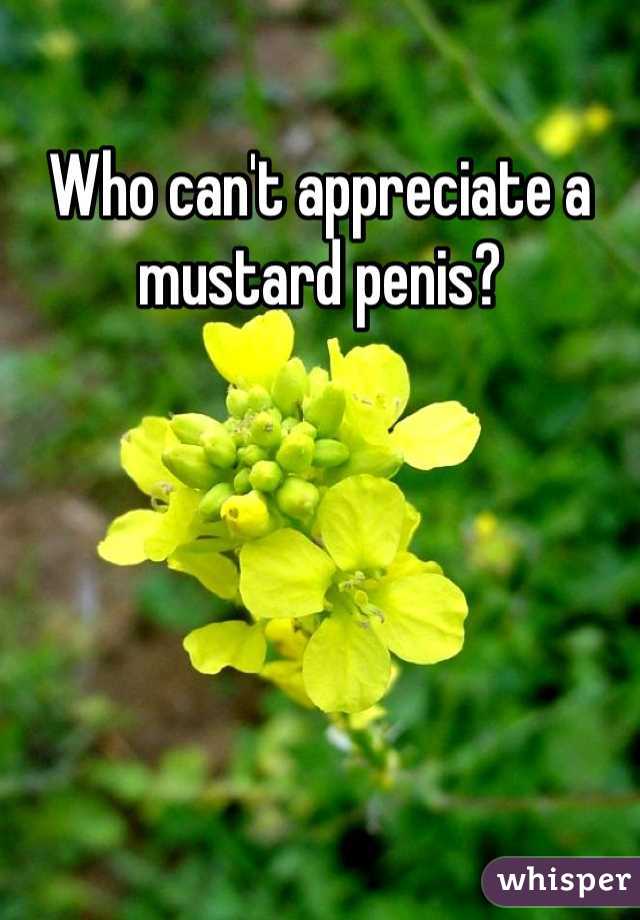 Who can't appreciate a mustard penis?