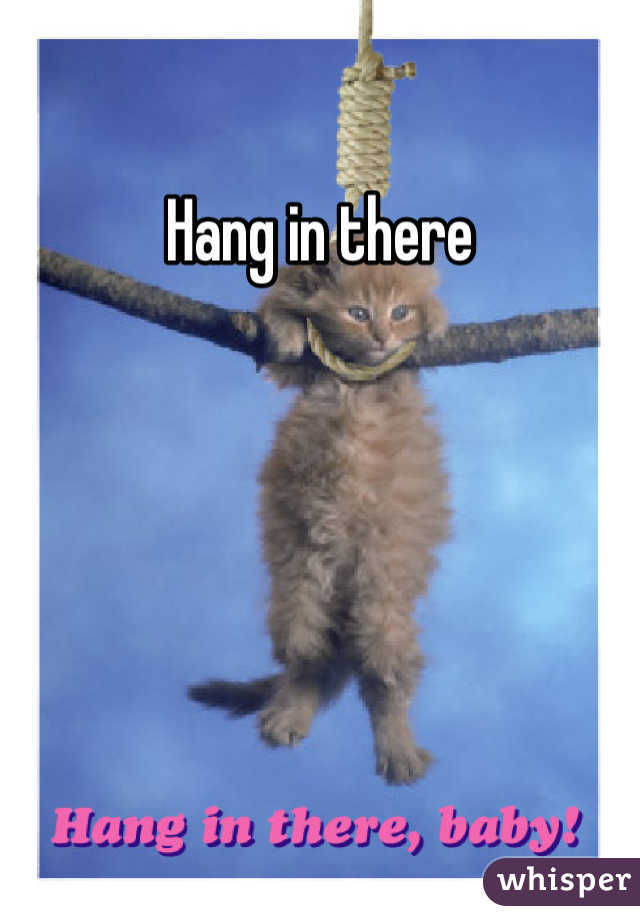 hang-in-there