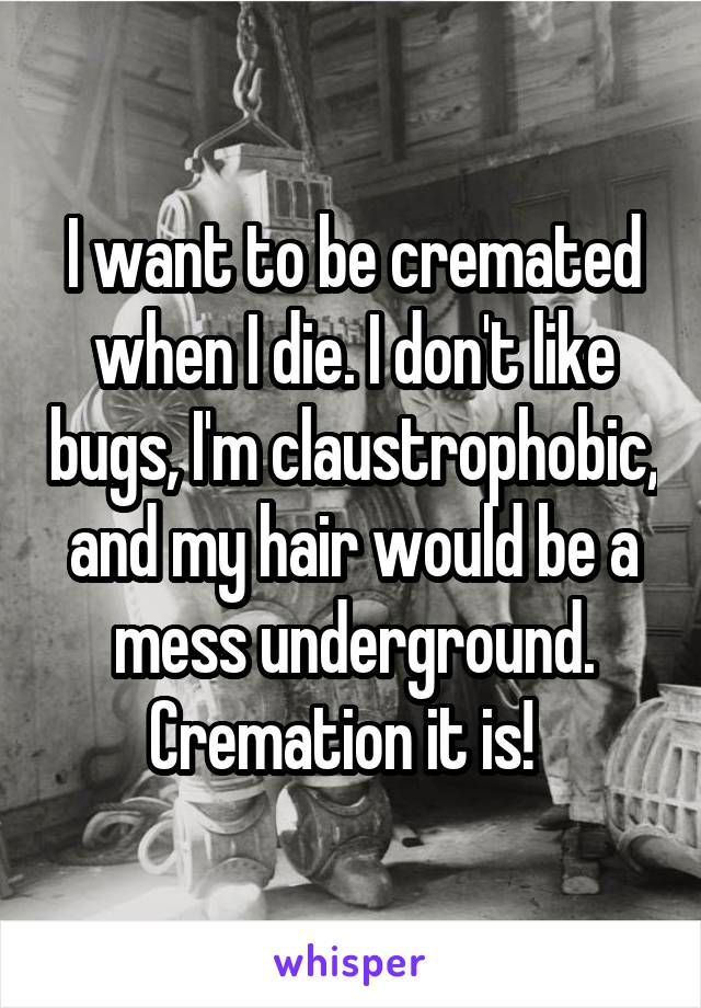 I want to be cremated when I die. I don't like bugs, I'm claustrophobic, and my hair would be a mess underground. Cremation it is!  