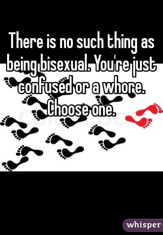 There is no such thing as being bisexual. You're just confused or a whore. Choose one.