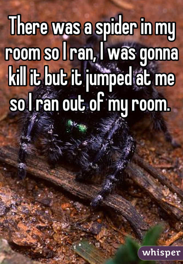 There was a spider in my room so I ran, I was gonna kill it but it jumped at me so I ran out of my room. 