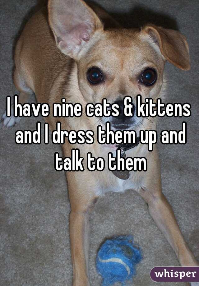 I have nine cats & kittens and I dress them up and talk to them