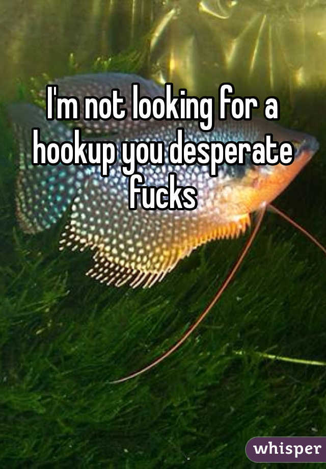 I'm not looking for a hookup you desperate fucks 