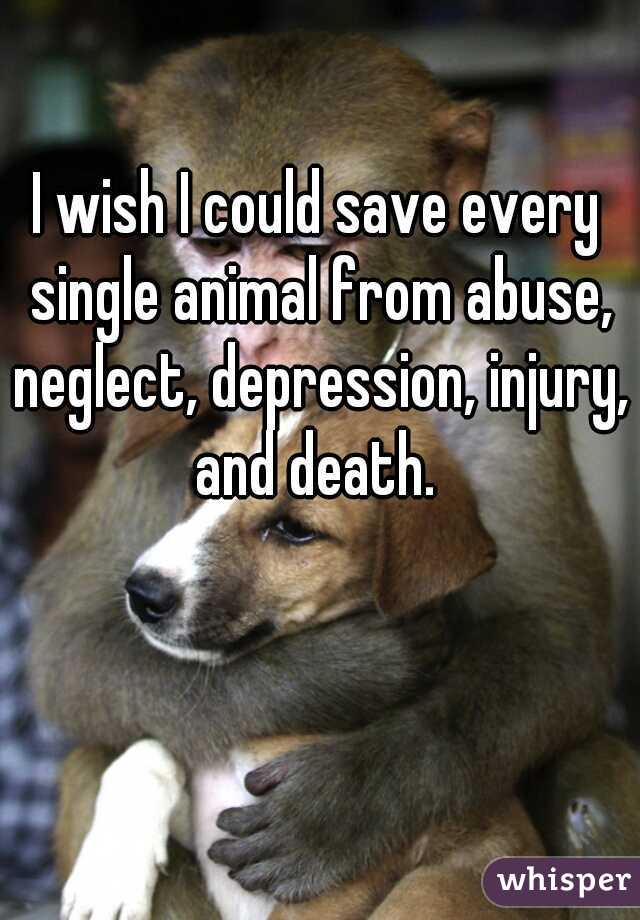I wish I could save every single animal from abuse, neglect, depression, injury, and death. 