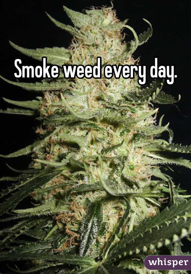 Smoke weed every day.