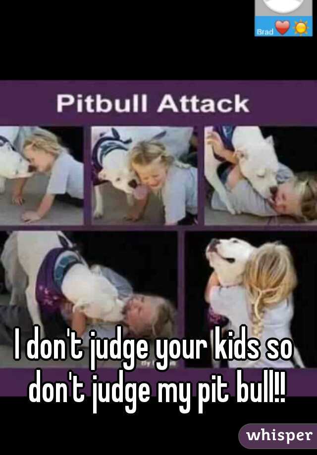 I don't judge your kids so don't judge my pit bull!!