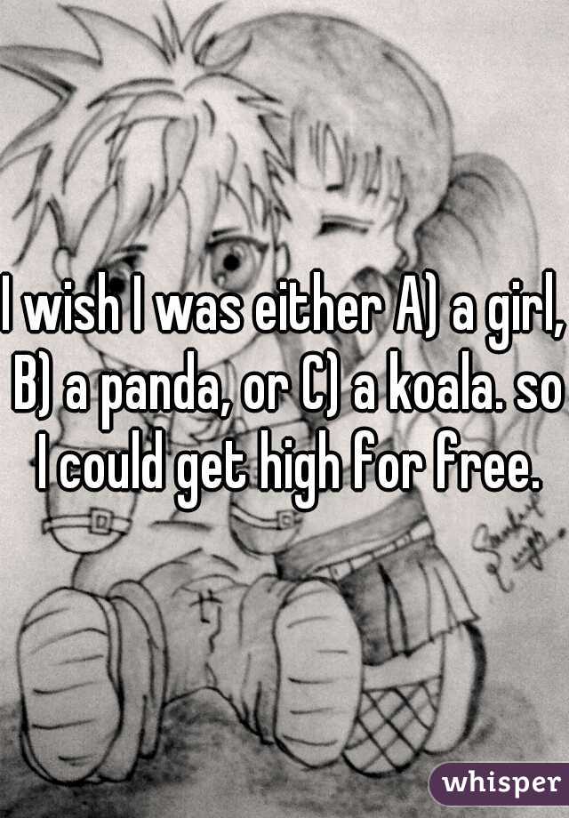 I wish I was either A) a girl, B) a panda, or C) a koala. so I could get high for free.