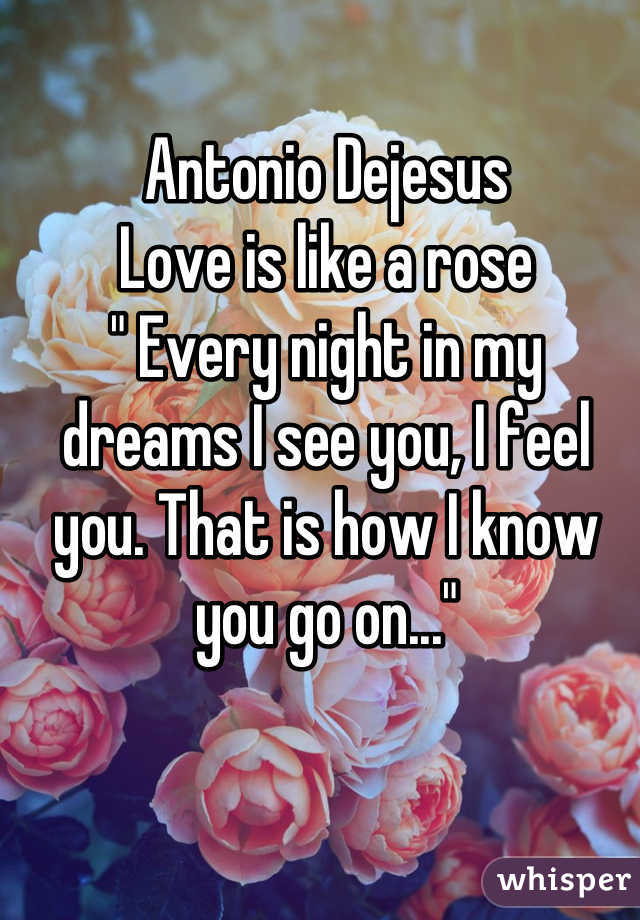 Antonio Dejesus 
Love is like a rose 
" Every night in my dreams I see you, I feel you. That is how I know you go on..."