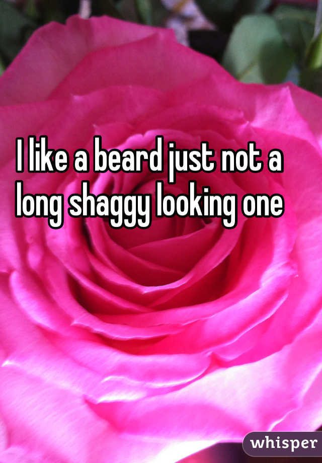 I like a beard just not a long shaggy looking one