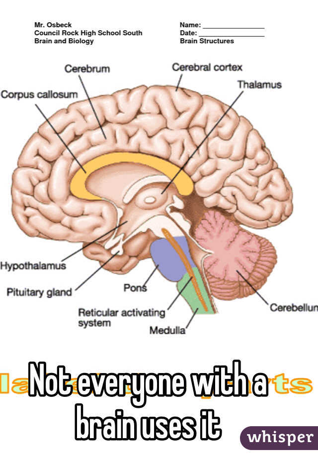 Not everyone with a 
brain uses it