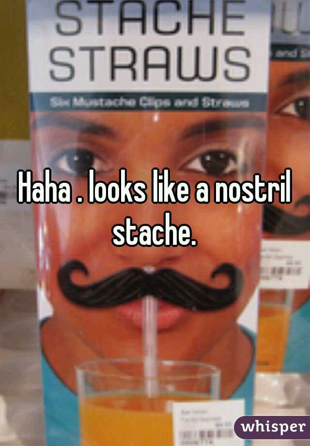 Haha . looks like a nostril stache. 