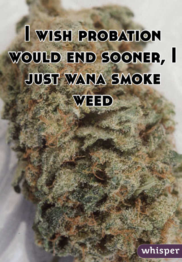I wish probation would end sooner, I just wana smoke weed