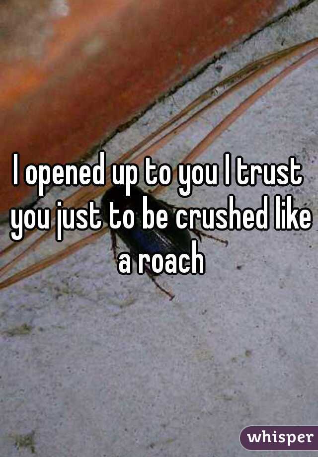 I opened up to you I trust you just to be crushed like a roach