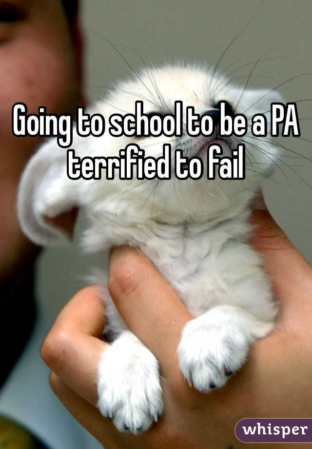 Going to school to be a PA terrified to fail