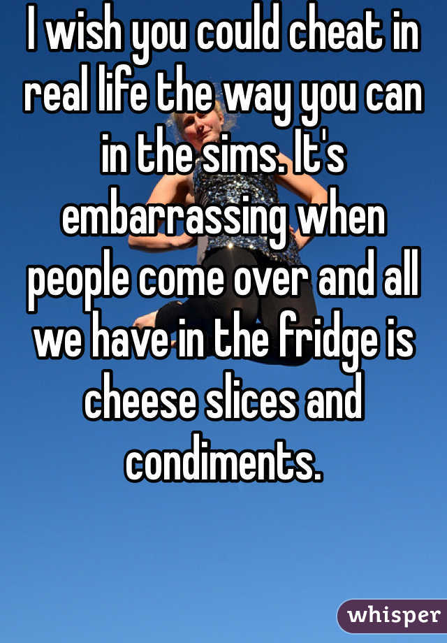 I wish you could cheat in real life the way you can in the sims. It's embarrassing when people come over and all we have in the fridge is cheese slices and condiments. 