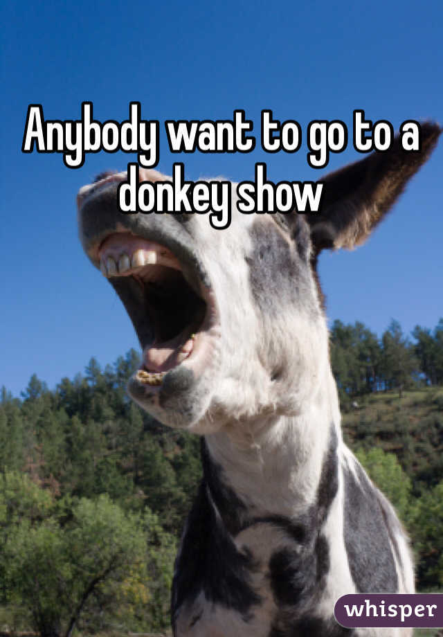 Anybody want to go to a donkey show